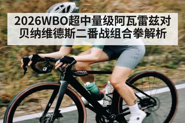 2026WBO超中量级阿瓦雷兹对贝纳维德斯二番战组合拳解析